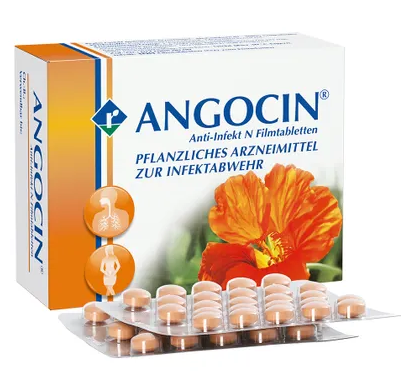 ANGOCIN Anti-Infekt N bei Blasenentzündung